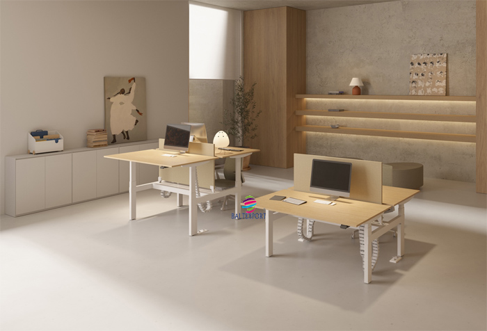 Secretaria SKY Elevatória Elétrica Escritorio_Baltexport_BALTY_008