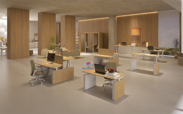 Secretaria SKY Elevatória Elétrica Escritorio_Baltexport_BALTY_011
