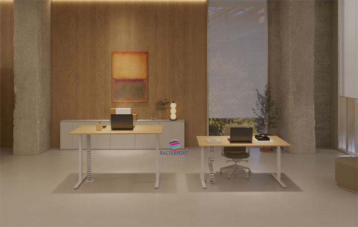 Secretaria SKY Elevatória Elétrica Escritorio_Baltexport_BALTY_013