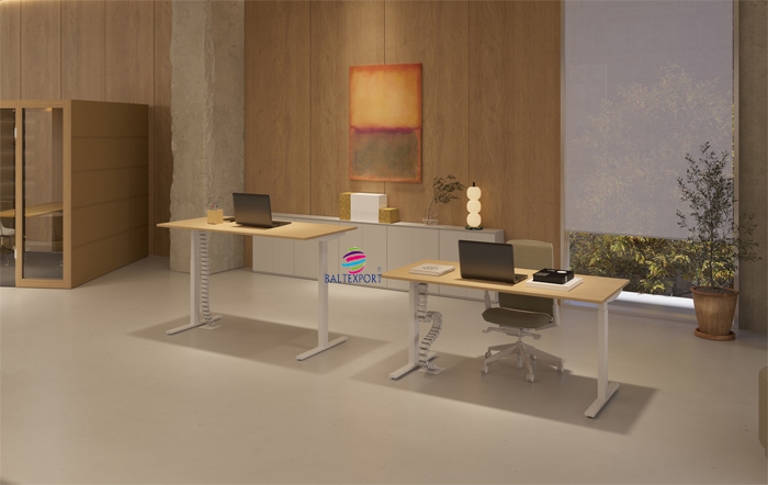 Secretaria SKY Elevatória Elétrica Escritorio_Baltexport_BALTY_014